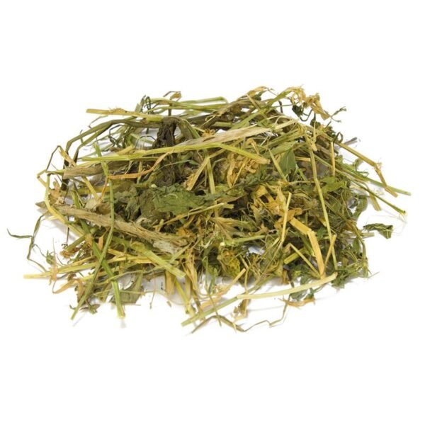 ALFALFA 500g - Imagen 2