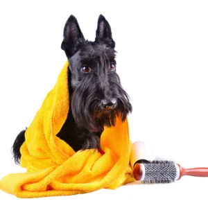 Higiene perros y gatos