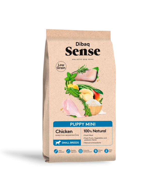 dibaq sense mini puppy