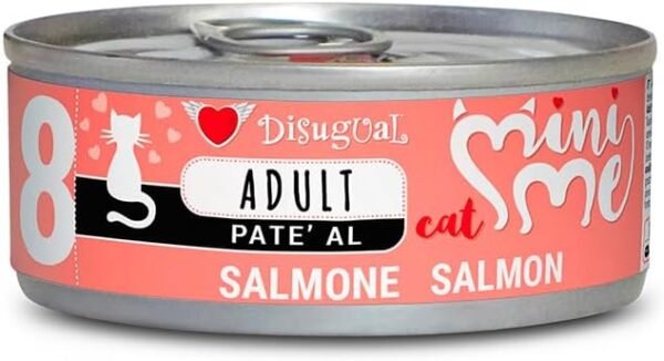 lata gato