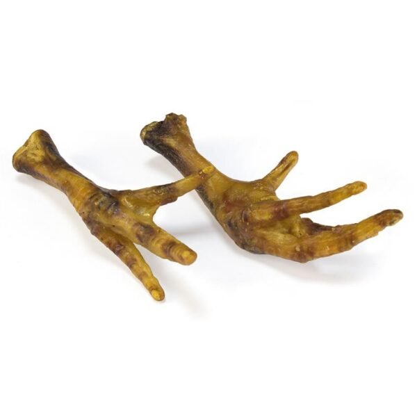 pata pollo