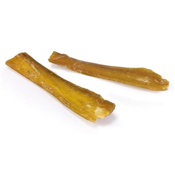 tendon