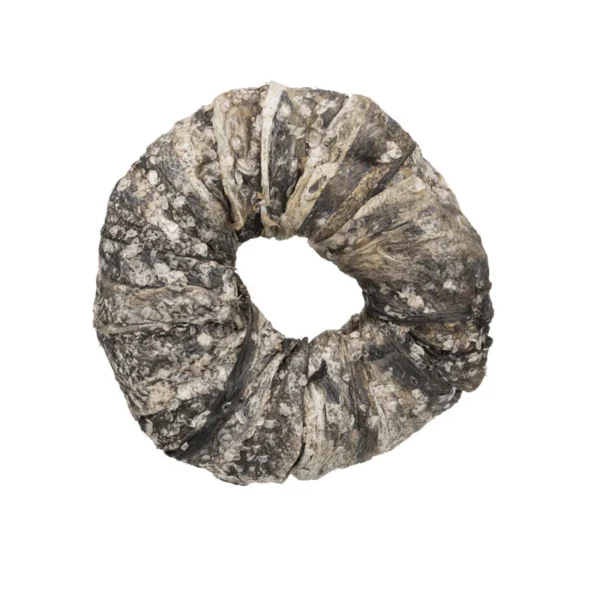Donut de Bacalao
