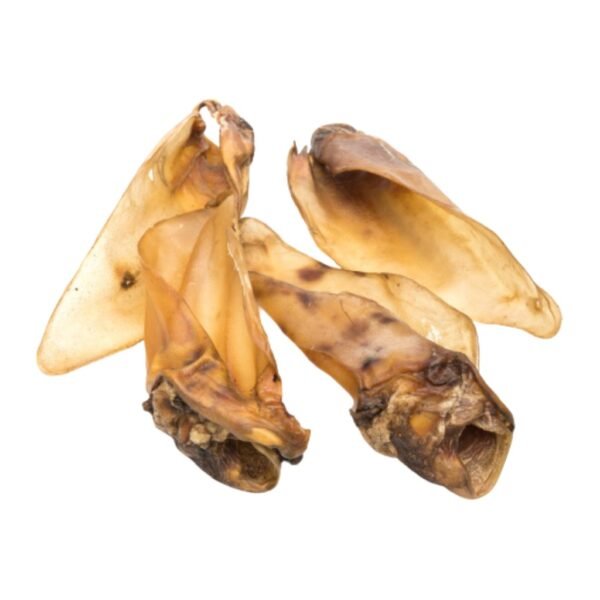 oreja