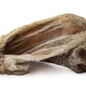 OREJA CORDERO CON PELO