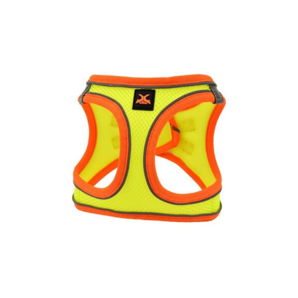 ARNES X-TRM NEO - Imagen 2