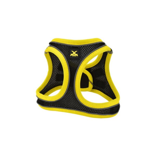 ARNES X-TRM NEO